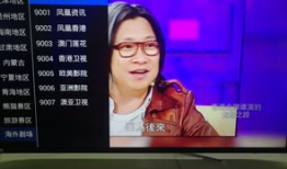 91港澳台电视直播,尽享两岸三地精彩瞬间